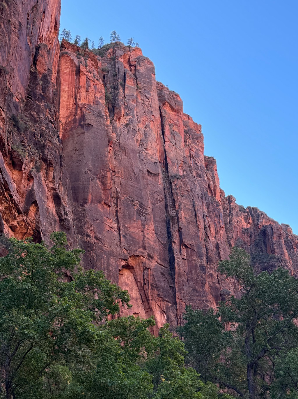 Red, Green and&nbsp;Blue