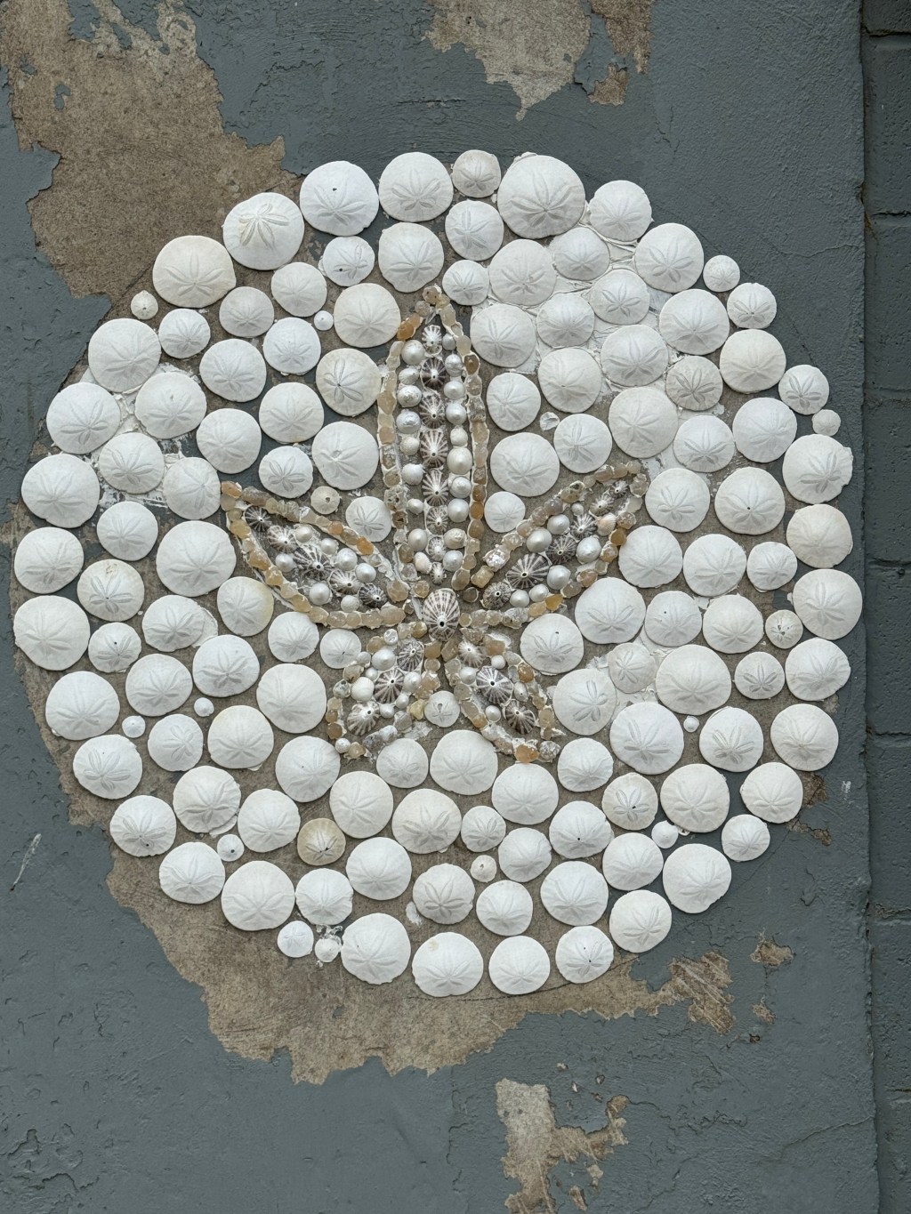Shell Art