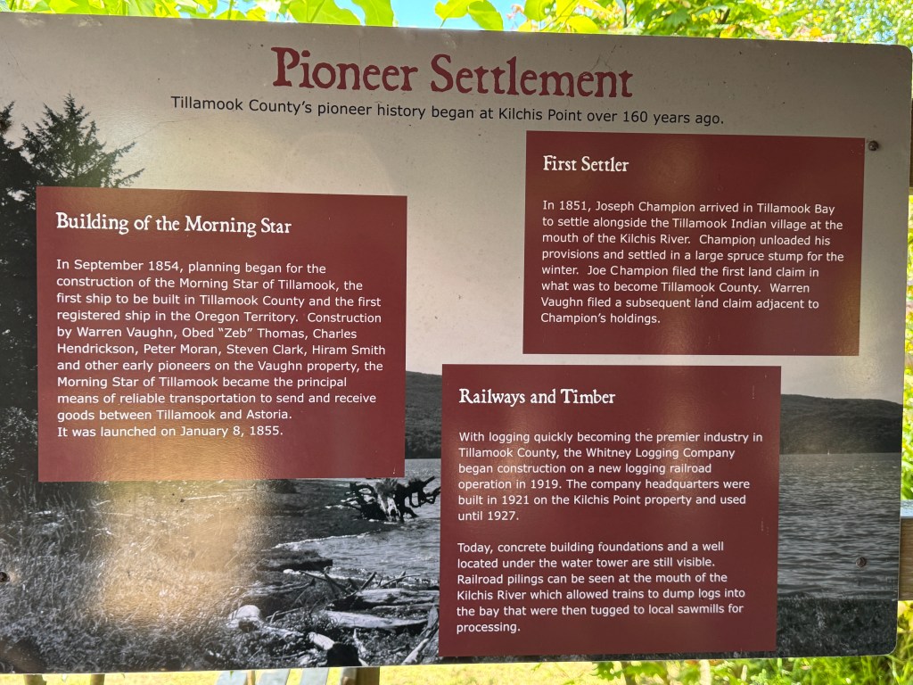 Pioneer History