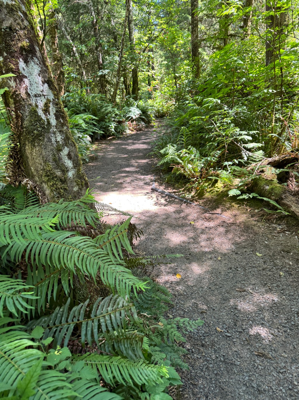 Kilchis Point Trail